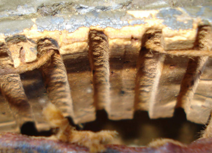 Gaufrette aérateur en bois souple. Gaufrette aérateur en bois souple.