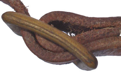 Fixation boucle de réglage.