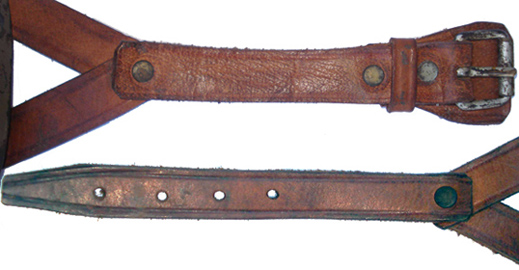 Parties de la jugulaire, topologie en quatre points.