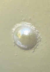 T&ecirc;te de rivet.