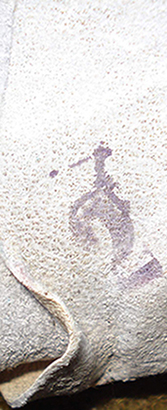 Tampon appliqué lors de la fabrication. Tampon appliqué lors de la fabrication.