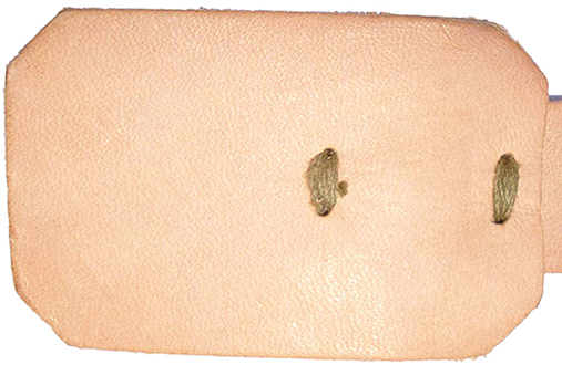 Patelette en cuir. Patelette en cuir.