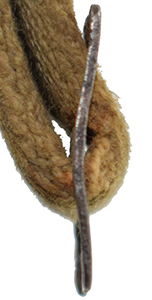 Boucle coulissante fine.