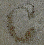 Lettre tamponnée au fond de la bombe. Lettre tamponnée au fond de la bombe.