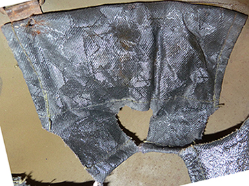 Pattes de coiffe toutes différentes. Pattes de coiffe toutes différentes.