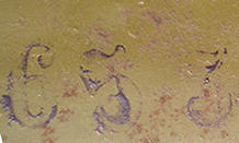 Numéro d'atelier. Numéro d'atelier.