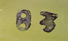 Numéro d'atelier. Numéro d'atelier.