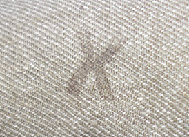 Tampon de contrôle - X. Tampon de contrôle - X.
