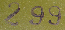 Numéro d'atelier. Numéro d'atelier.
