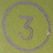 Tampon de contrôle. Tampon de contrôle.