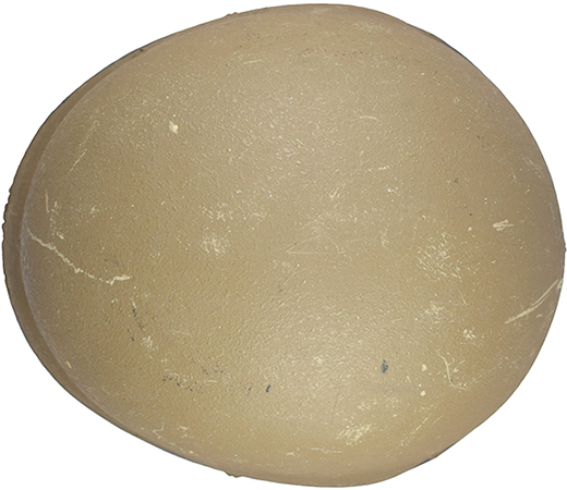 Vue de dessus. Vue de dessus.