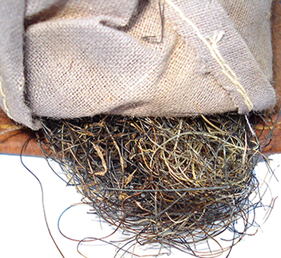 Rembourrage en crin de cheval.