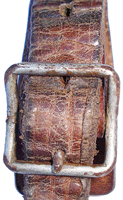 Type mod&egrave;le 37.