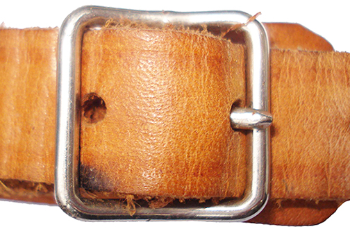 Boucle à ardillon de fermeture.