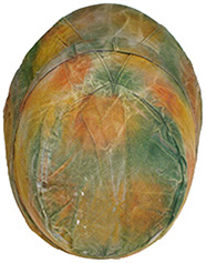 Couvre-casque shako exemple 2. Couvre-casque shako exemple 2.