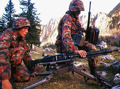 Modèle 71 avec CC Leibermuster. Modèle 71 avec CC Leibermuster.