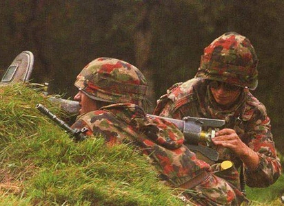 Modèle 71 avec CC Leibermuster. Modèle 71 avec CC Leibermuster.