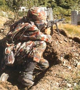 Modèle 71 avec CC Leibermuster. Modèle 71 avec CC Leibermuster.