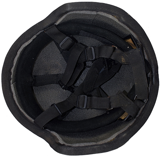 Jugulaire, vue d'ensemble. Jugulaire, vue d'ensemble.