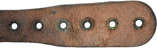 Extrémité jugulaire avant - recto/verso. Extrémité jugulaire avant - recto/verso.