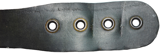 Extrémité jugulaire arrière - recto/verso. Extrémité jugulaire arrière - recto/verso.