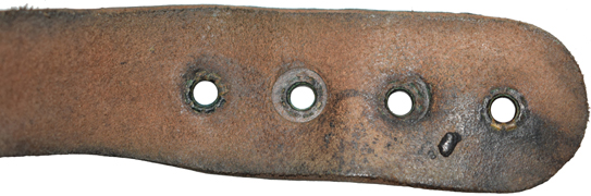 Extrémité jugulaire arrière - recto/verso. Extrémité jugulaire arrière - recto/verso.