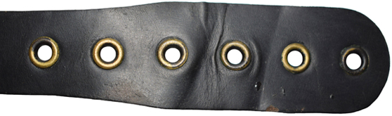 Extrémité jugulaire avant - recto/verso. Extrémité jugulaire avant - recto/verso.