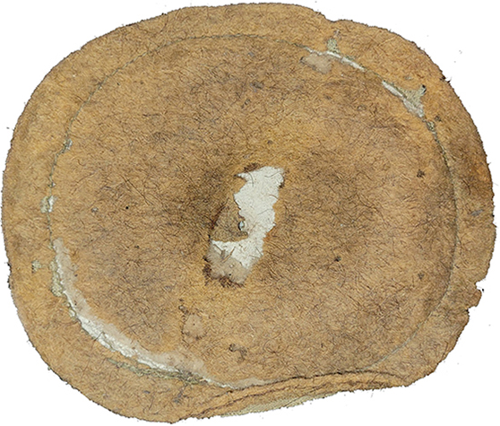 Tampon ovale de fond de coiffe, envers/revers. Tampon ovale de fond de coiffe, envers/revers.