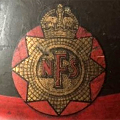 Insigne du NFS. Insigne du NFS.