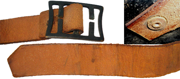 Les divers éléments de la jugulaire. Les divers éléments de la jugulaire.