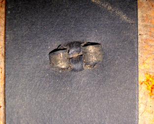 Rivet du tampon sommital. Rivet du tampon sommital.