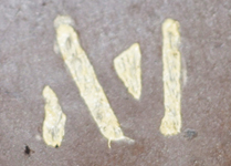 Marquage M pour magnétique.