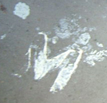 Marquage M pour magnétique. Marquage M pour magnétique.