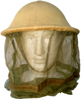 Vue de face. Vue de face.