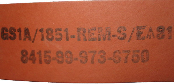 REMPLOY 1981. REMPLOY 1981.