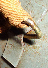 Passant de jugulaire plat. Passant de jugulaire plat.