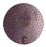 International Molded Plastics, Inc (IMP) International Molded Plastics, Inc (IMP)