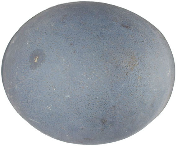 Vue de dessus. Vue de dessus.