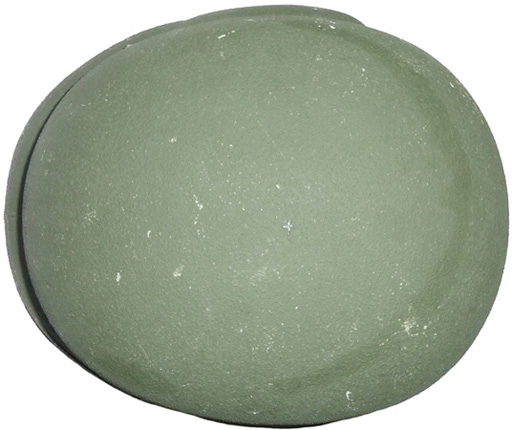 Vue de dessus. Vue de dessus.