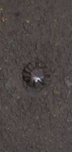 Tête de rivet maté en étoile. Tête de rivet maté en étoile.