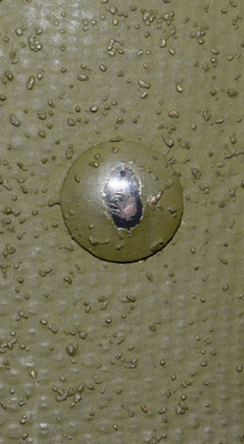 Tête de rivet. Tête de rivet.