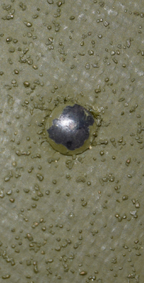 Tête de rivet. Tête de rivet.