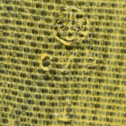 Consolidated Molded Products (CMP). Consolidated Molded Products (CMP).