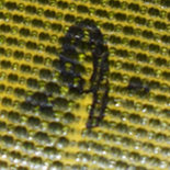 Numéro de lot. Numéro de lot.