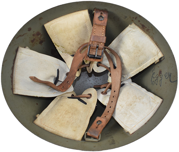 Jugulaire, vue d'ensemble.