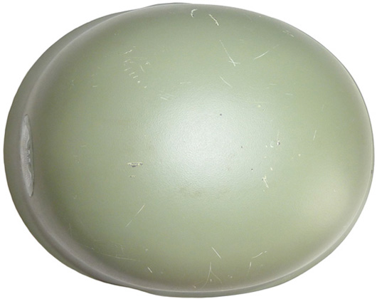 Vue de dessus. Vue de dessus.