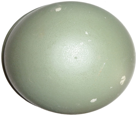 Vue de dessus. Vue de dessus.